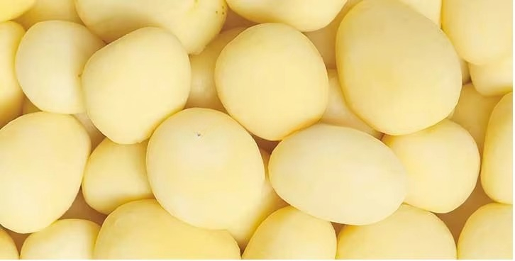 Factory Direct Sale Automatic  - Commercial Potato Peeler Machine 评论和价格