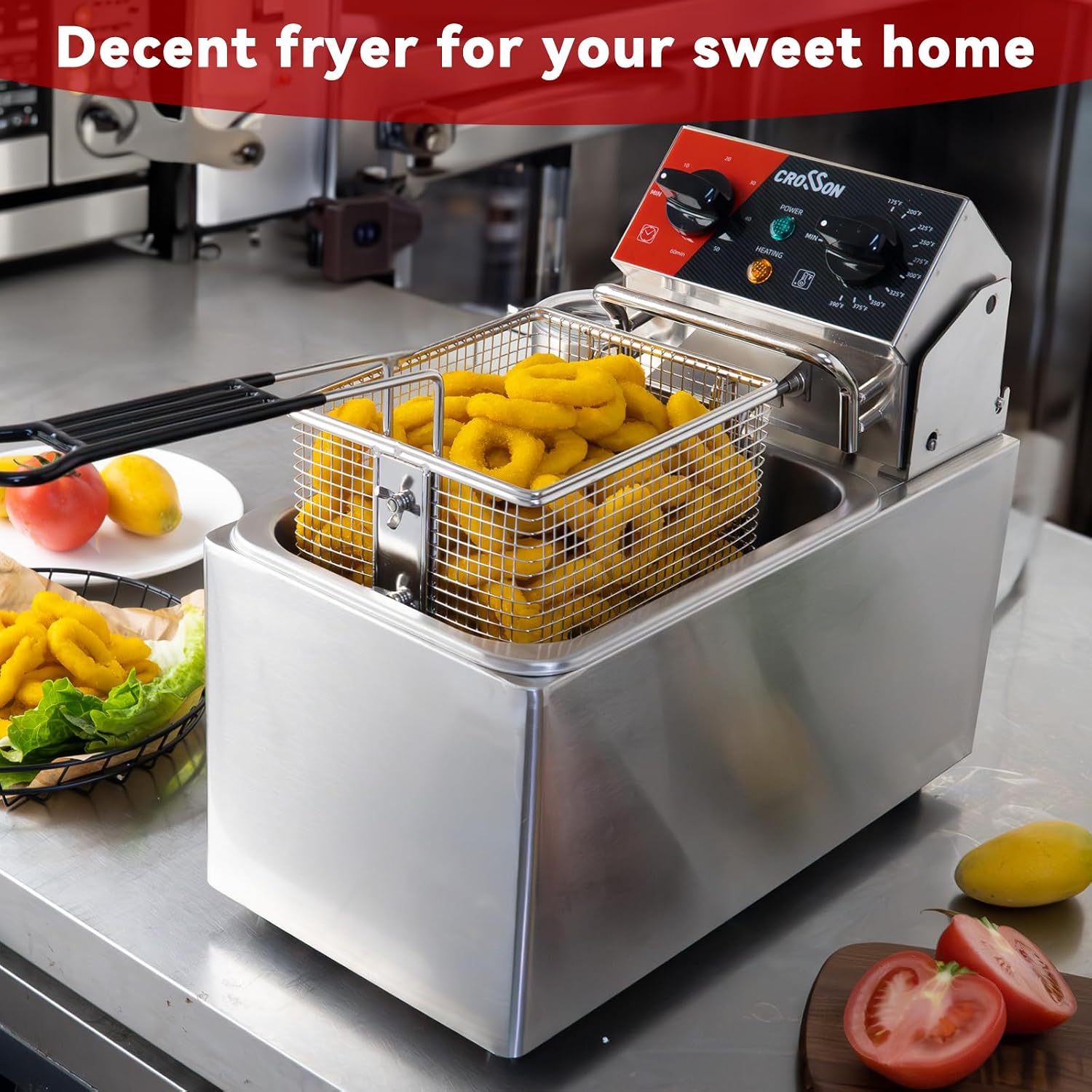 ^10Lbs Electric Countertop Dee - Countertop Deep Fryer With Timer 评论和价格