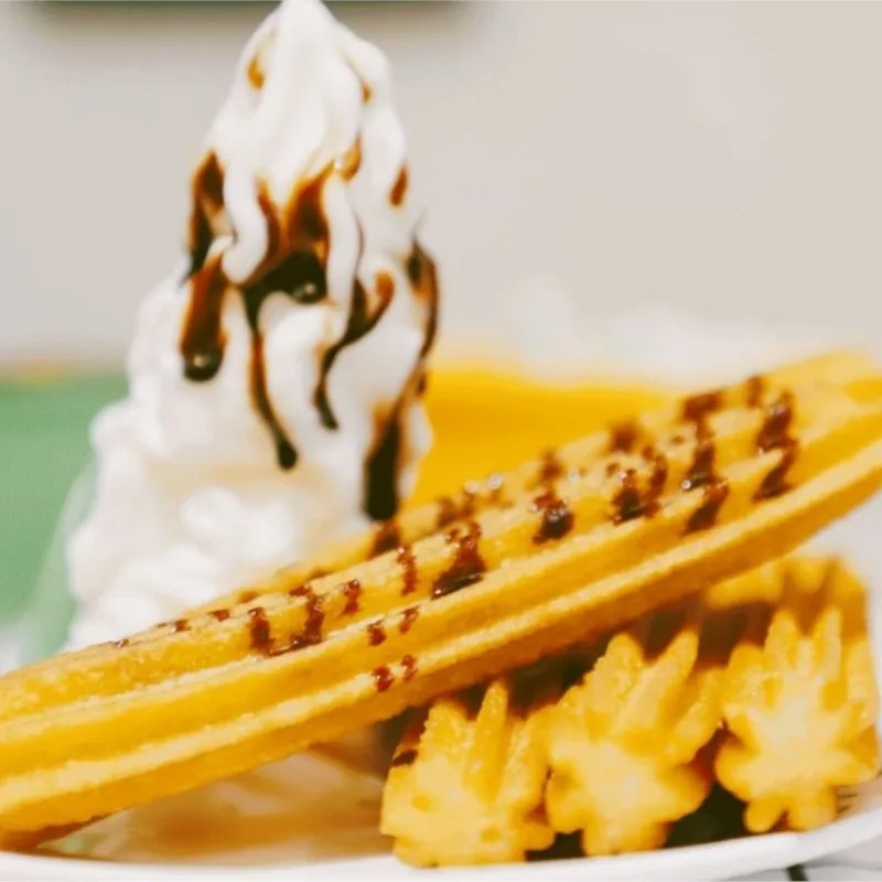 30L Commercial Stainless Steel - Electric Churro Maker Machine 评论和价格